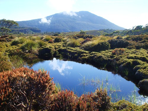 Overland Track - Nice!